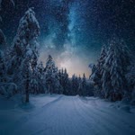 Cenk