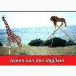 Hasan