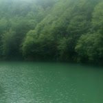 Haydar