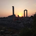 Yaşar