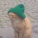 Müfettiş