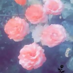 Sıla