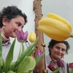 Özge