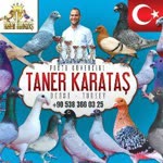 Taner