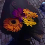 Defne