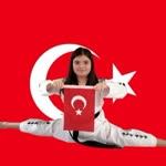 Seyfi