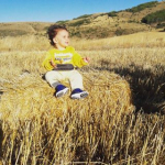 Meral