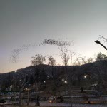 Sıkayet
