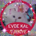 Derya