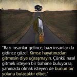 Kanatsız
