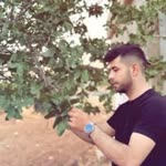 Kadir