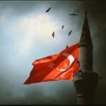 Erol