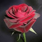 Erhan
