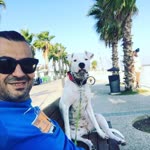 Murat