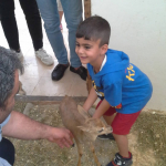 Salih