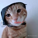 Nur