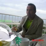 Sibel