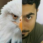 Gürkan