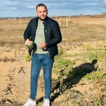 İlhan