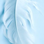 Merve