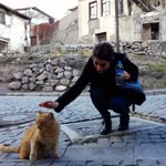 Şahhanım