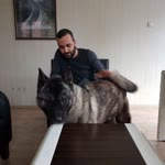 Oğuzhan