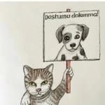 Şirin