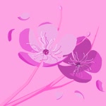 Arzu