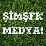 Şimşek