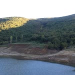Barış