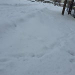 Bekir