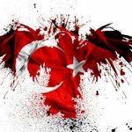 Samet