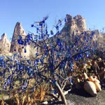 Senem