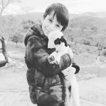 Sarp