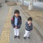 Enis