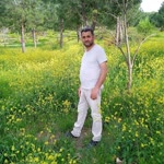 Orhan
