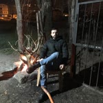Arif