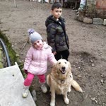 Serdar