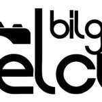 Bilgin