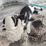 Profil fotoğrafı