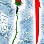 Elif