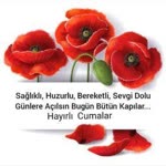 Murat