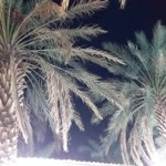 Arifbayram