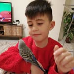 Arzu