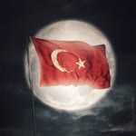 Taner