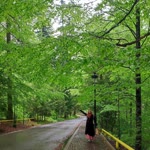 Şüheda
