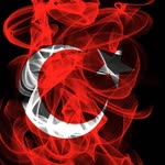 Yiğit