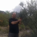 Mücahit