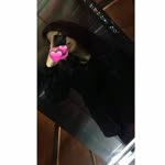 Pelin