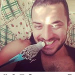 Faruk